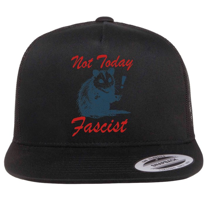 Not Today Fascist Funny Possum Meme Opossum Trash Panda .Png Flat Bill Trucker Hat