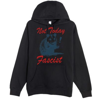 Not Today Fascist Funny Possum Meme Opossum Trash Panda .Png Premium Pullover Hoodie