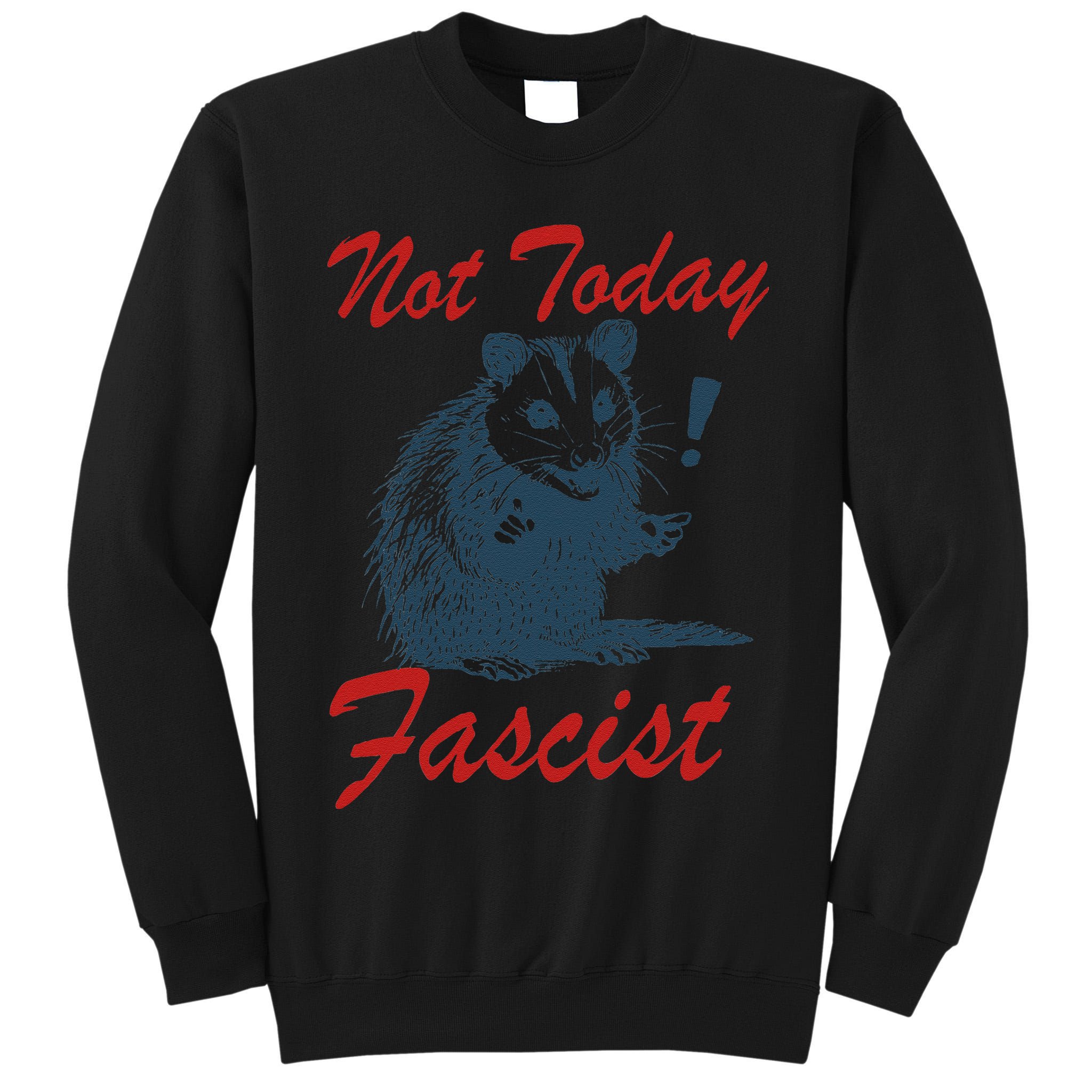 Not Today Fascist Funny Possum Meme Opossum Trash Panda .Png Tall Sweatshirt