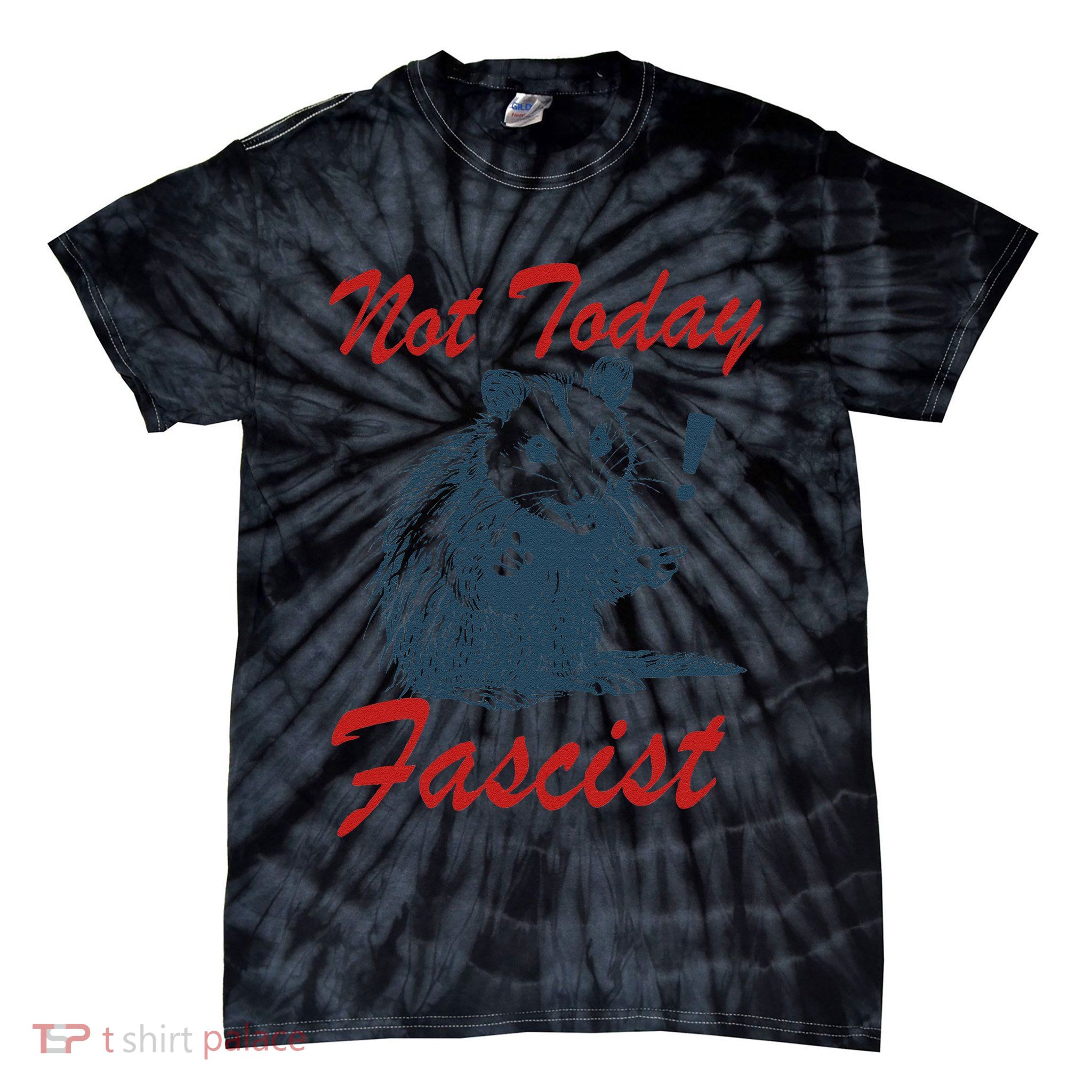 Not Today Fascist Funny Possum Meme Opossum Trash Panda .Png Tie-Dye T-Shirt