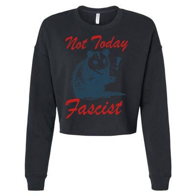 Not Today Fascist Funny Possum Meme Opossum Trash Panda .Png Cropped Pullover Crew