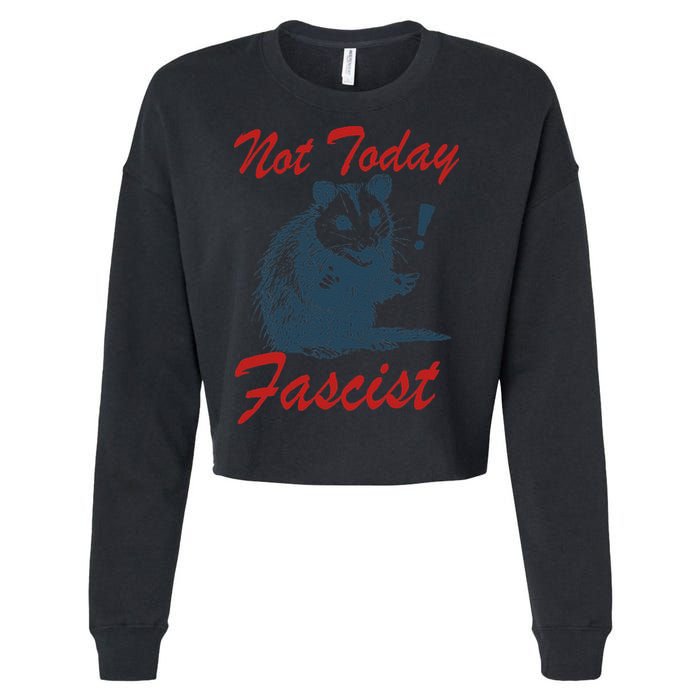 Not Today Fascist Funny Possum Meme Opossum Trash Panda .Png Cropped Pullover Crew