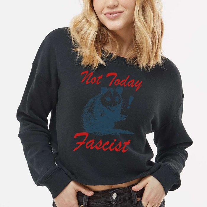 Not Today Fascist Funny Possum Meme Opossum Trash Panda .Png Cropped Pullover Crew