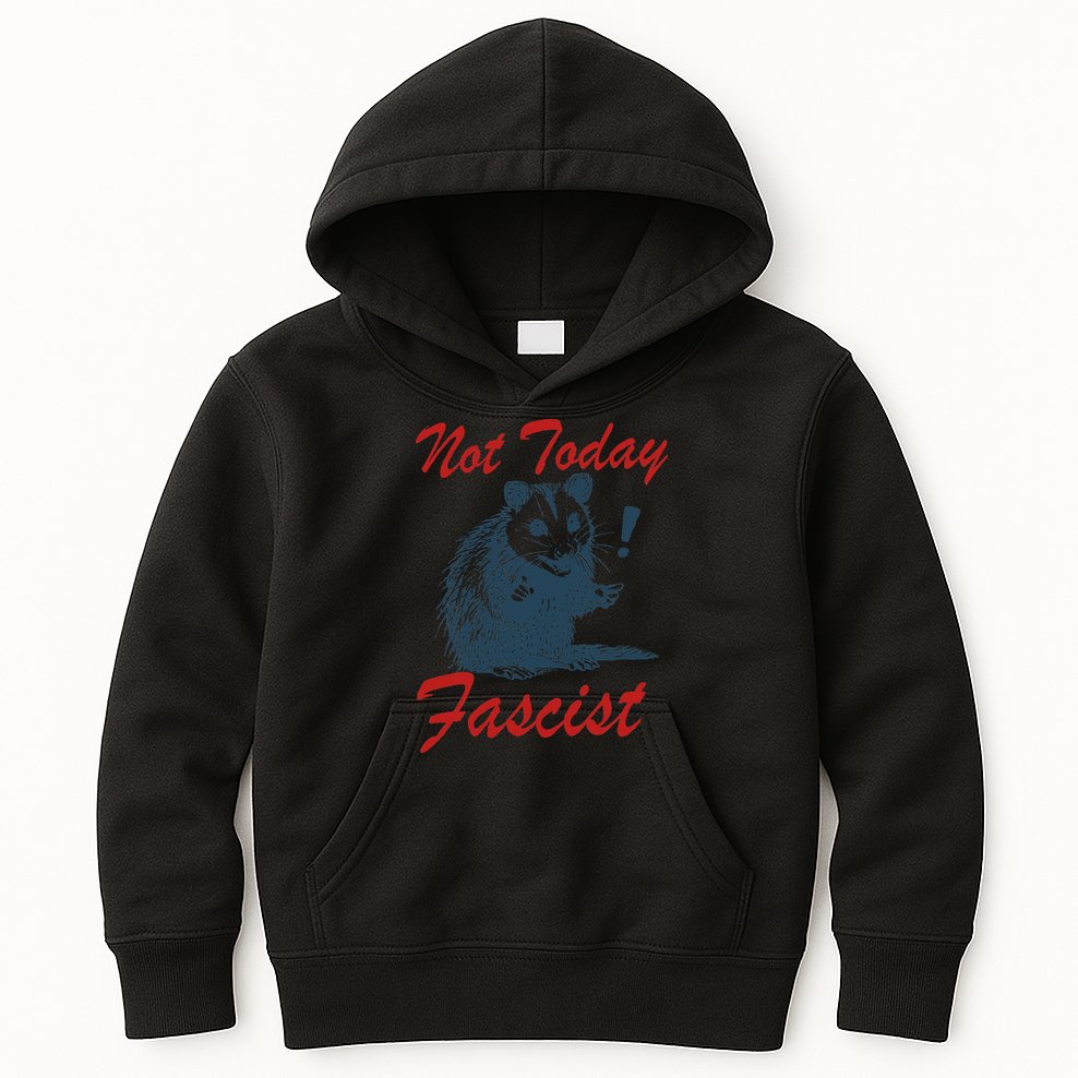Not Today Fascist Funny Possum Meme Opossum Trash Panda .Png Kids Hoodie