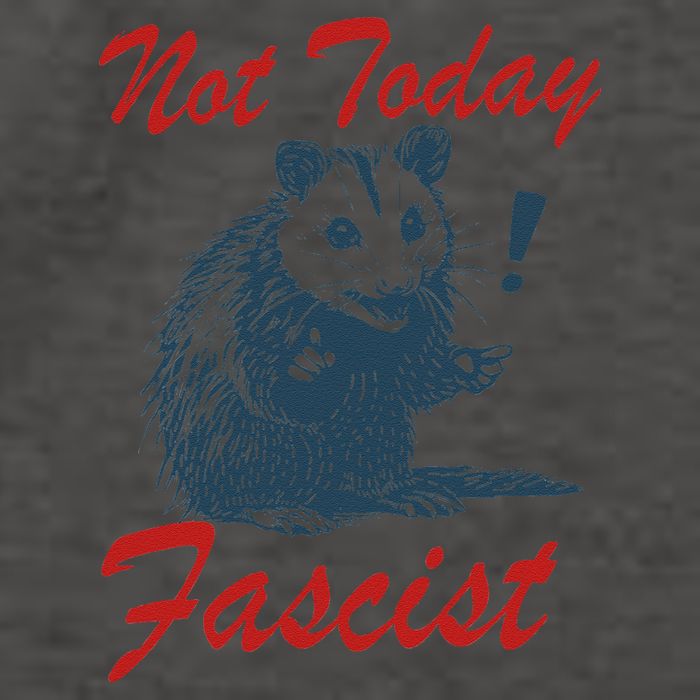 Not Today Fascist Funny Possum Meme Opossum Trash Panda .Png Vector Backpack