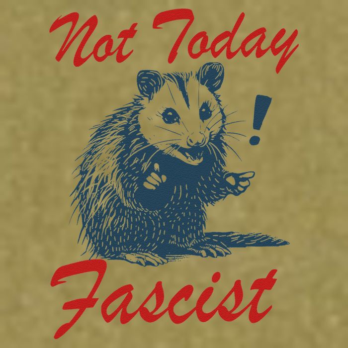 Not Today Fascist Funny Possum Meme Opossum Trash Panda .Png Garment-Dyed Women's Muscle Tee