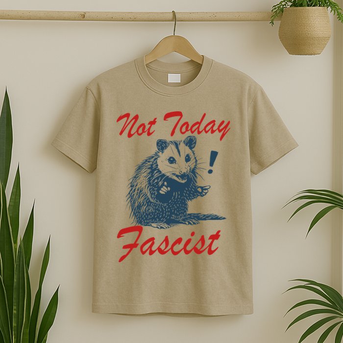 Not Today Fascist Funny Possum Meme Opossum Trash Panda .Png T-Shirt