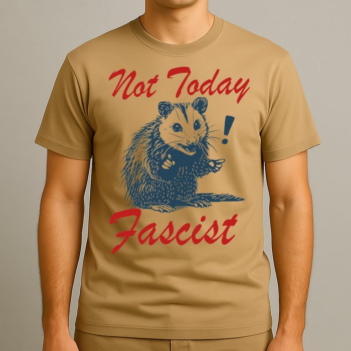 Not Today Fascist Funny Possum Meme Opossum Trash Panda .Png T-Shirt