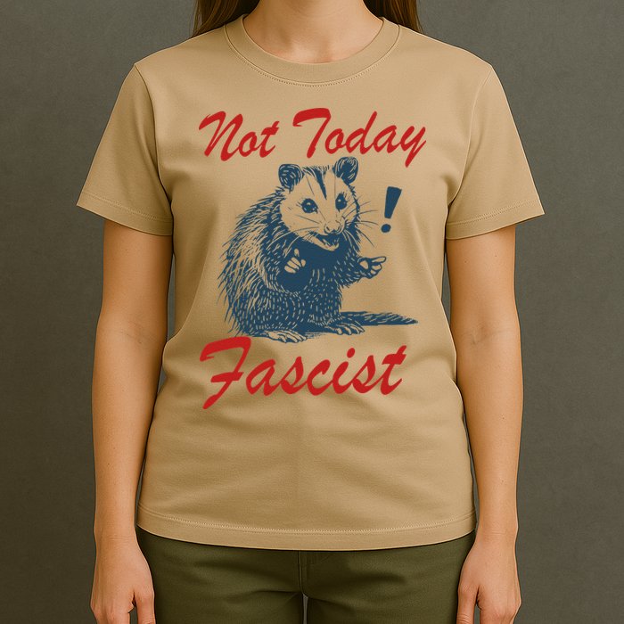 Not Today Fascist Funny Possum Meme Opossum Trash Panda .Png T-Shirt