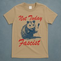 Not Today Fascist Funny Possum Meme Opossum Trash Panda .Png T-Shirt