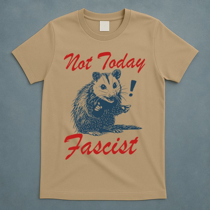 Not Today Fascist Funny Possum Meme Opossum Trash Panda .Png T-Shirt