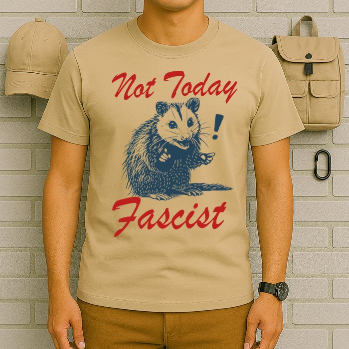Not Today Fascist Funny Possum Meme Opossum Trash Panda .Png T-Shirt