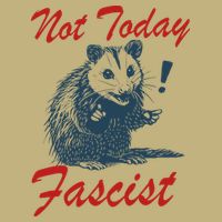 Not Today Fascist Funny Possum Meme Opossum Trash Panda .Png Button