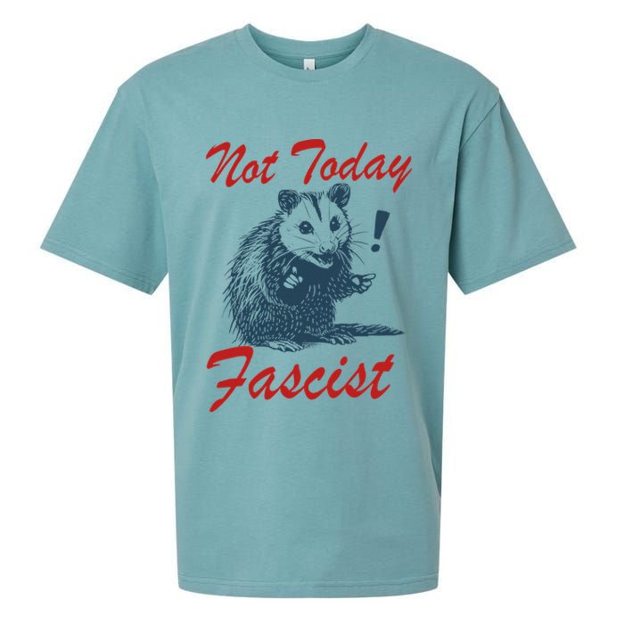 Not Today Fascist Funny Possum Meme Opossum Trash Panda .Png Sueded Cloud Jersey T-Shirt