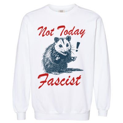 Not Today Fascist Funny Possum Meme Opossum Trash Panda .Png Garment-Dyed Sweatshirt