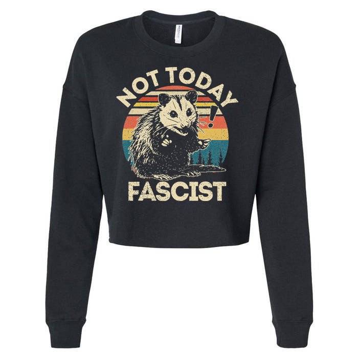 Not Today Fascist Opossum Social Possum Cropped Pullover Crew