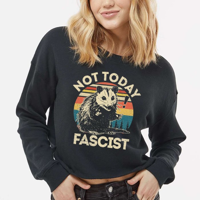 Not Today Fascist Opossum Social Possum Cropped Pullover Crew