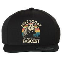 Not Today Fascist Opossum Social Possum Wool Snapback Cap