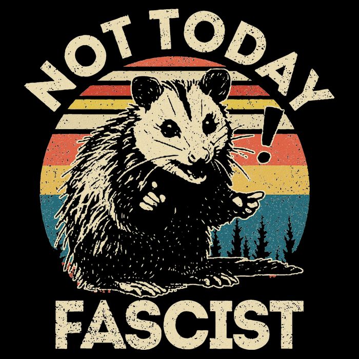 Not Today Fascist Opossum Social Possum Wool Snapback Cap