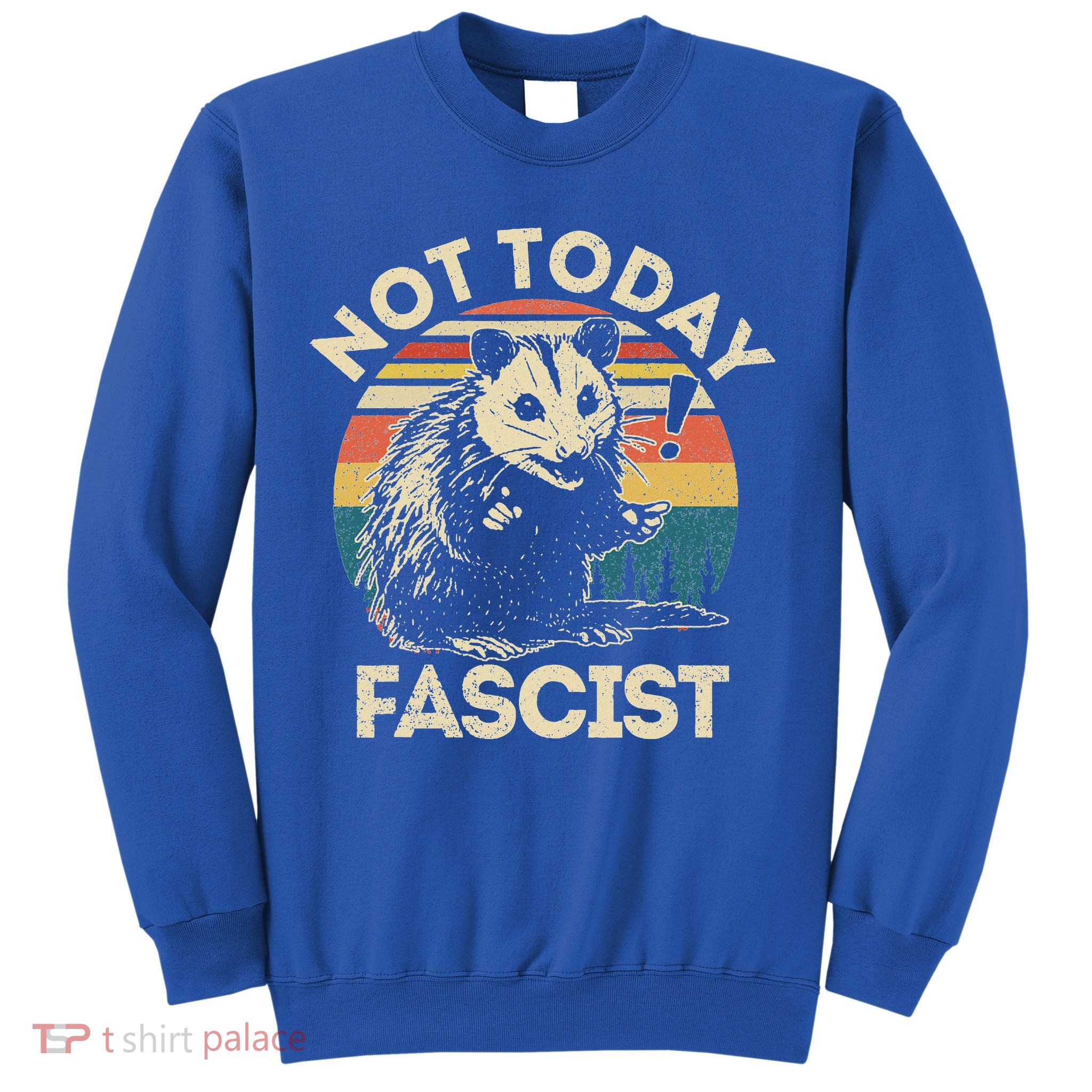 Not Today Fascist Opossum Social Possum Sweatshirt
