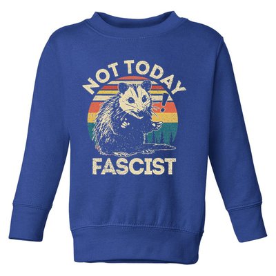 Not Today Fascist Opossum Social Possum Toddler Sweatshirt