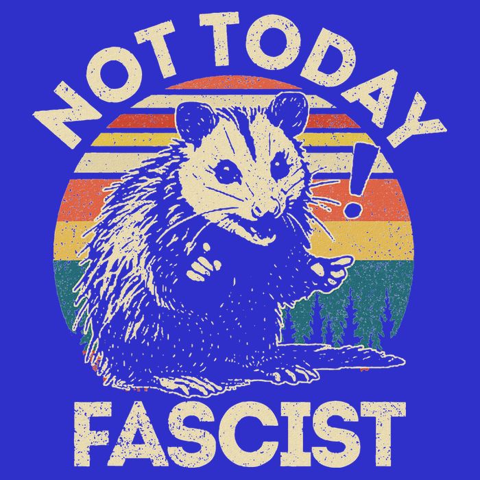 Not Today Fascist Opossum Social Possum Tank Top