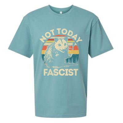 Not Today Fascist Opossum Social Possum Sueded Cloud Jersey T-Shirt