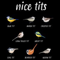 Nice Tits Funny Bird Watching Gift Dad Cooling Performance Crew T-Shirt