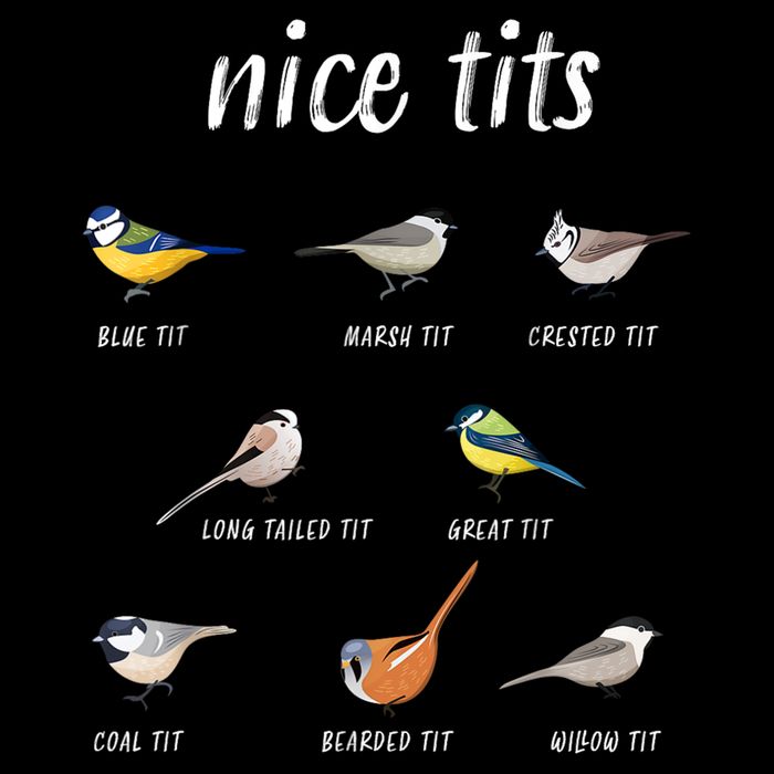 Nice Tits Funny Bird Watching Gift Dad Cooling Performance Crew T-Shirt