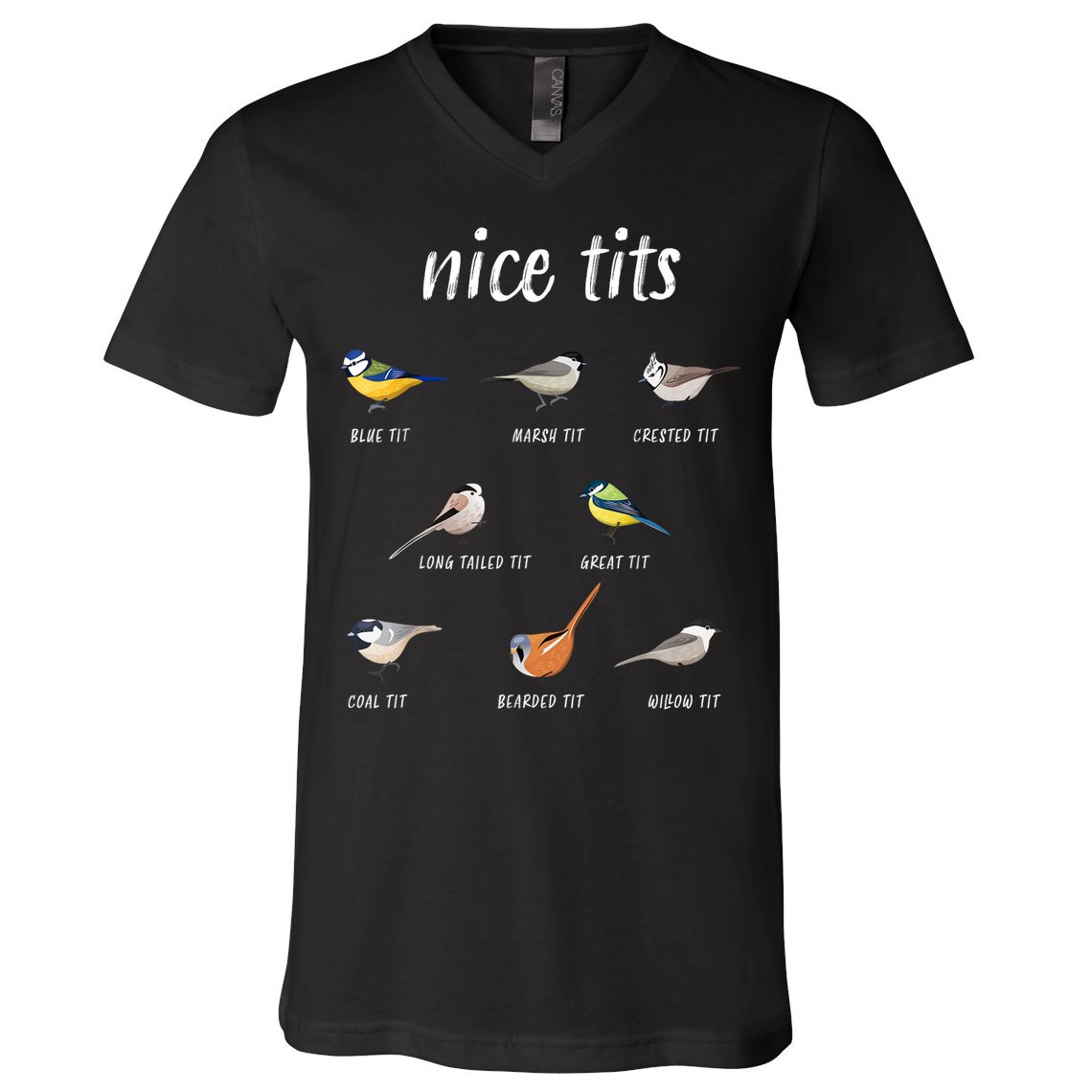 Nice Tits Funny Bird Watching Gift Dad V-Neck T-Shirt