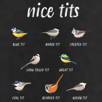 Nice Tits Funny Bird Watching Gift Dad 11oz C Handle Ceramic Mug