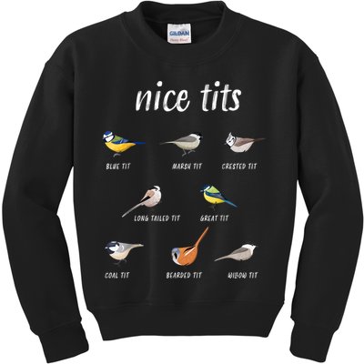 Nice Tits Funny Bird Watching Gift Dad Kids Sweatshirt