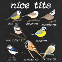 Nice Tits Funny Bird Watching, Funny Tit Birds Birdwatcher 7 Panel Mesh Trucker Snapback Hat