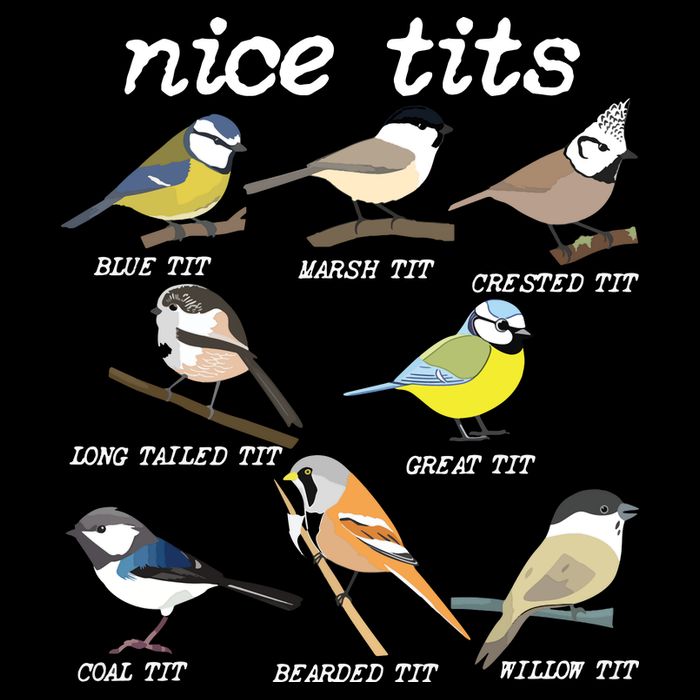 Nice Tits Funny Bird Watching, Funny Tit Birds Birdwatcher Drawstring Bag