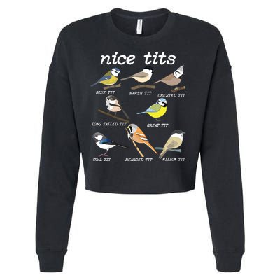 Nice Tits Funny Bird Watching, Funny Tit Birds Birdwatcher Cropped Pullover Crew