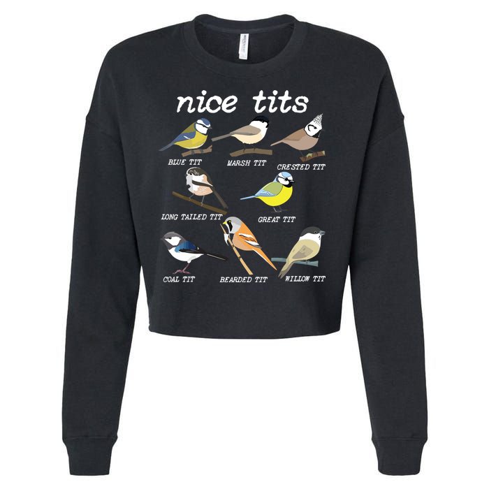 Nice Tits Funny Bird Watching, Funny Tit Birds Birdwatcher Cropped Pullover Crew