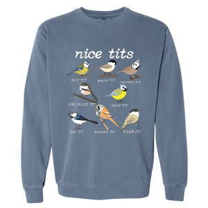 Nice Tits Funny Bird Watching, Funny Tit Birds Birdwatcher Garment-Dyed Sweatshirt