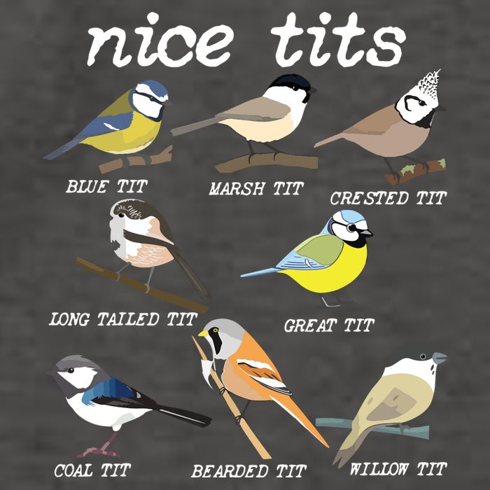 Nice Tits Funny Bird Watching, Funny Tit Birds Birdwatcher Vector Backpack