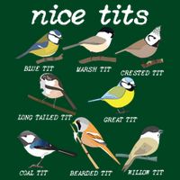 Nice Tits Funny Bird Watching, Funny Tit Birds Birdwatcher Cooling Performance Crew T-Shirt