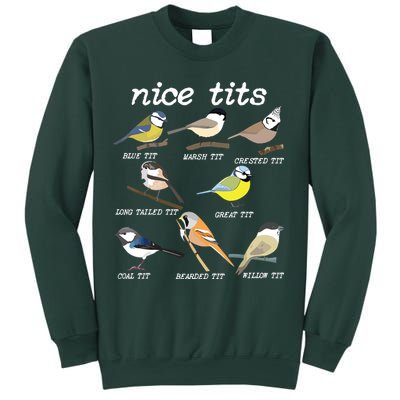 Nice Tits Funny Bird Watching, Funny Tit Birds Birdwatcher Sweatshirt