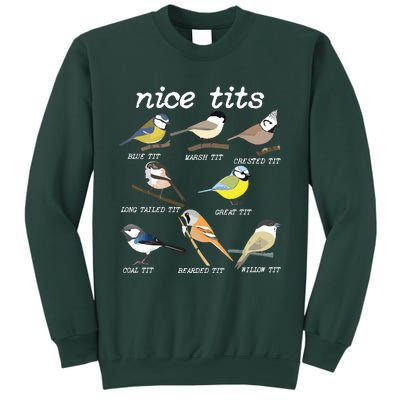 Nice Tits Funny Bird Watching, Funny Tit Birds Birdwatcher Sweatshirt