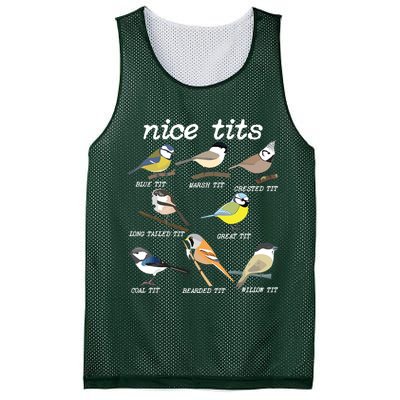 Nice Tits Funny Bird Watching, Funny Tit Birds Birdwatcher Mesh Reversible Basketball Jersey Tank