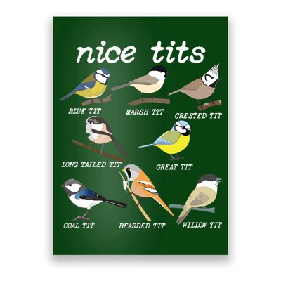 Nice Tits Funny Bird Watching, Funny Tit Birds Birdwatcher Poster