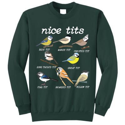 Nice Tits Funny Bird Watching, Funny Tit Birds Birdwatcher Tall Sweatshirt