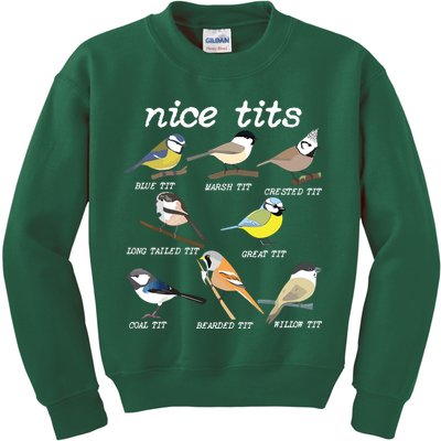 Nice Tits Funny Bird Watching, Funny Tit Birds Birdwatcher Kids Sweatshirt