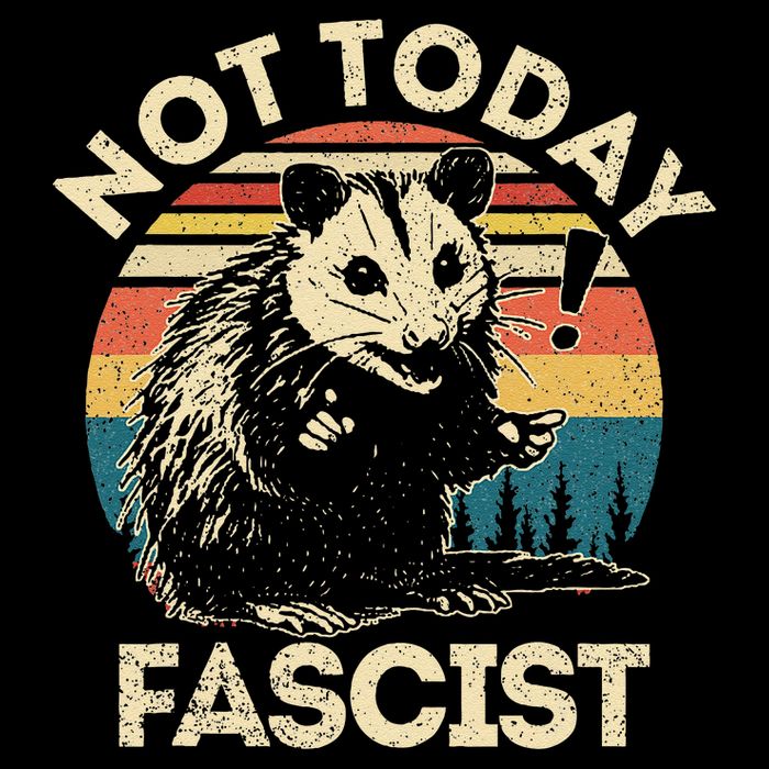 Not Today Fascist Funny Opossum Social Possum Team Trash Gift 7-Panel Snapback Hat