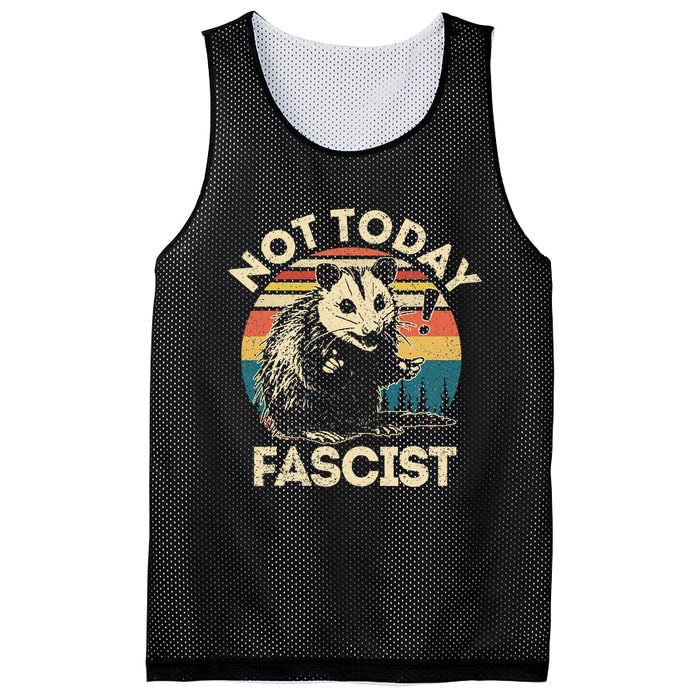 Not Today Fascist Funny Opossum Social Possum Team Trash Gift Mesh Reversible Basketball Jersey Tank