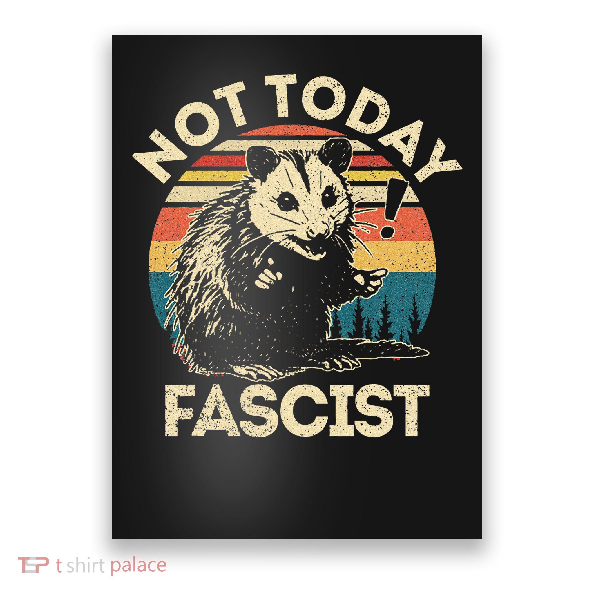 Not Today Fascist Funny Opossum Social Possum Team Trash Gift Poster