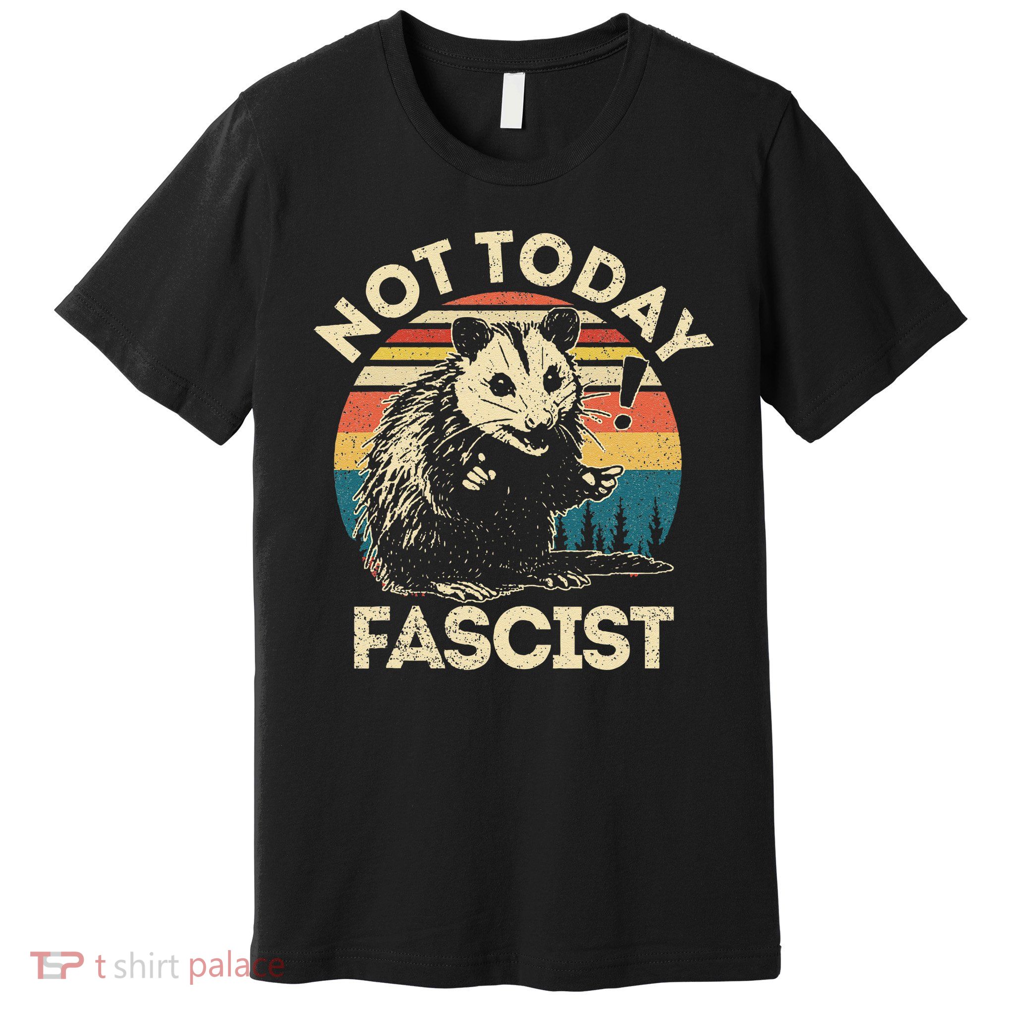 Not Today Fascist Funny Opossum Social Possum Team Trash Gift Premium T-Shirt