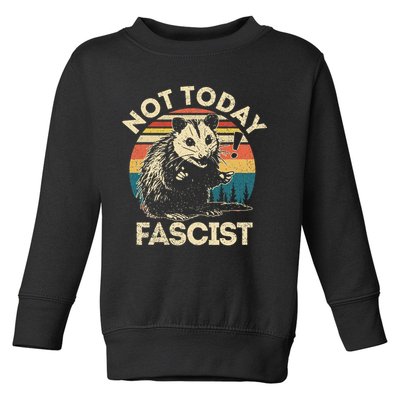 Not Today Fascist Funny Opossum Social Possum Team Trash Gift Toddler Sweatshirt